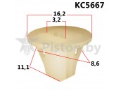 KC5667