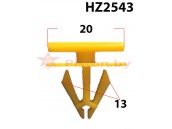 HZ2543