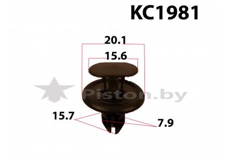 KC1981