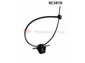 KC3818
